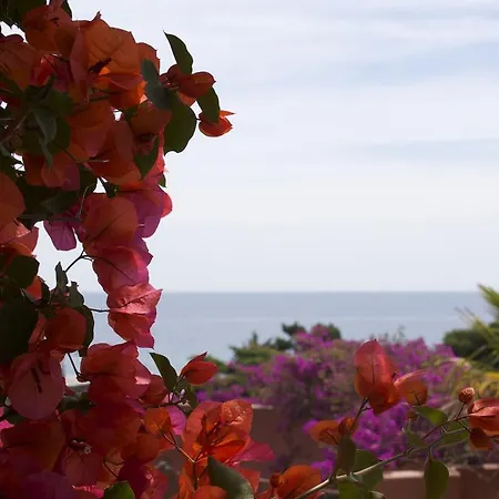 Vakantiepark Les De Figha