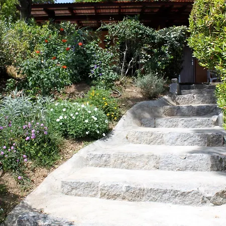 Les De Figha 3* Tarcu