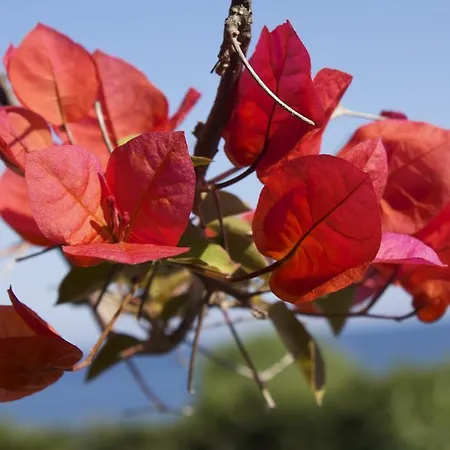 Vakantiepark Les De Figha