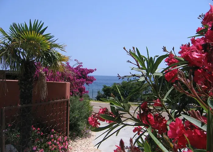 Les De Figha 3* Tarcu