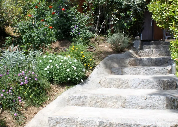 Les De Figha 3* Tarcu